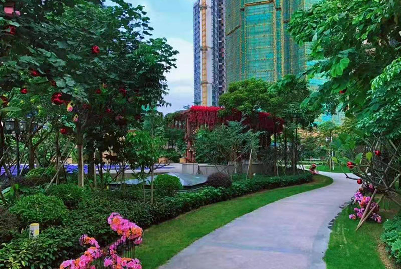 实景图