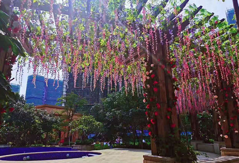 实景图