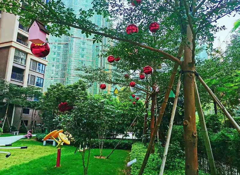 实景图