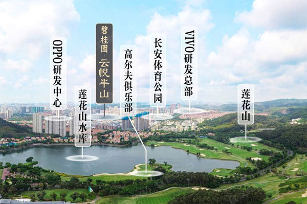 碧桂园·云悦半山/富安花园